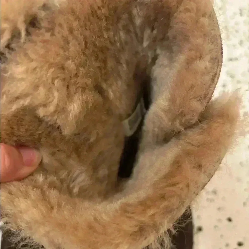 Nash Aviator Shearling Fur‎ Boot Chocolate